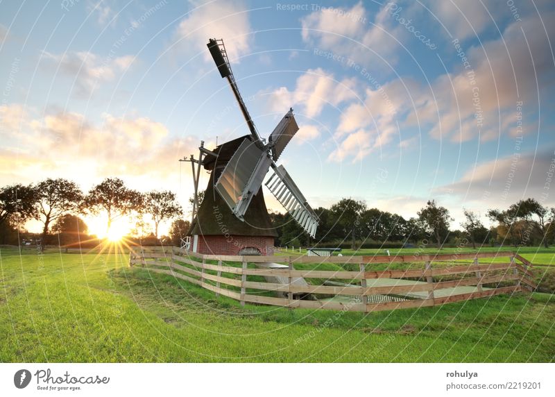 Sonnenaufgang hinter reizender niederländischer Windmühle auf Wiese Natur Landschaft Himmel Wolken Sonnenuntergang Sommer Schönes Wetter Gras Feld Gebäude