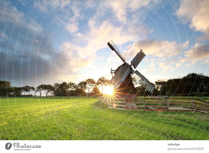 Sonnenaufgang hinter schöner holländischer Windmühle in Holland Ferien & Urlaub & Reisen Natur Landschaft Sonnenuntergang Sonnenlicht Sommer Schönes Wetter Gras