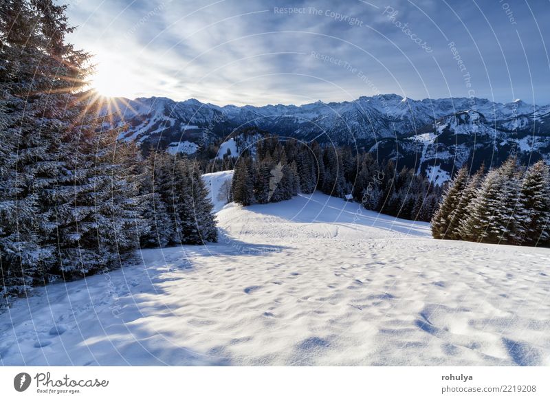 Morgensonnenschein in den schneebedeckten Alpen Ferien & Urlaub & Reisen Sonne Winter Schnee Berge u. Gebirge Natur Landschaft Eis Frost Wald Hügel weiß Stern