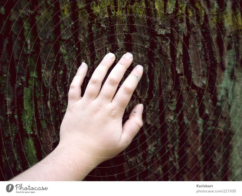 berühren. Lifestyle Wohlgefühl Erholung Kind Mensch Kleinkind Kindheit Leben Hand Finger Umwelt Natur Sommer Baum Gefühle Erfahrung Farbfoto mehrfarbig