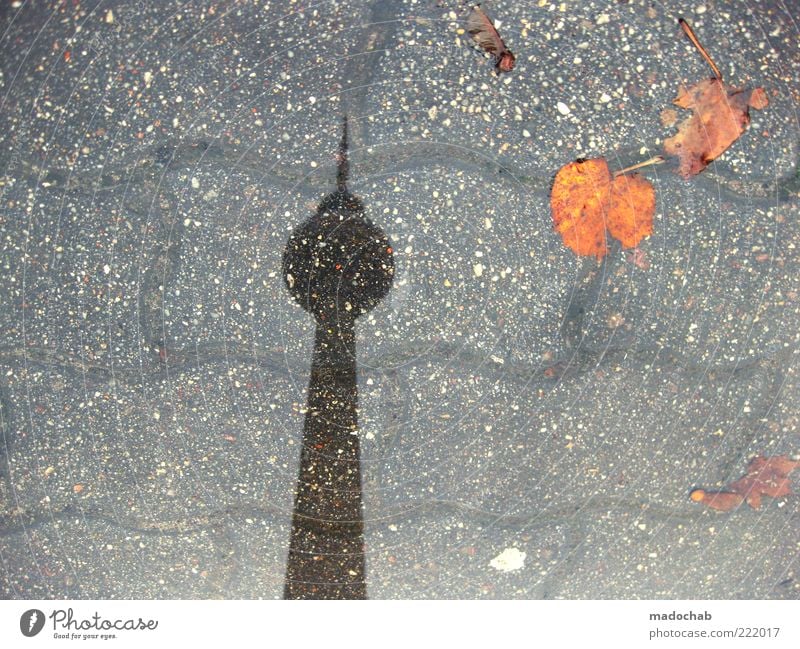 totem Umwelt Natur Herbst Klima Klimawandel Wetter schlechtes Wetter Regen Berlin Turm Architektur Berliner Fernsehturm bizarr Pfütze Blatt Farbfoto