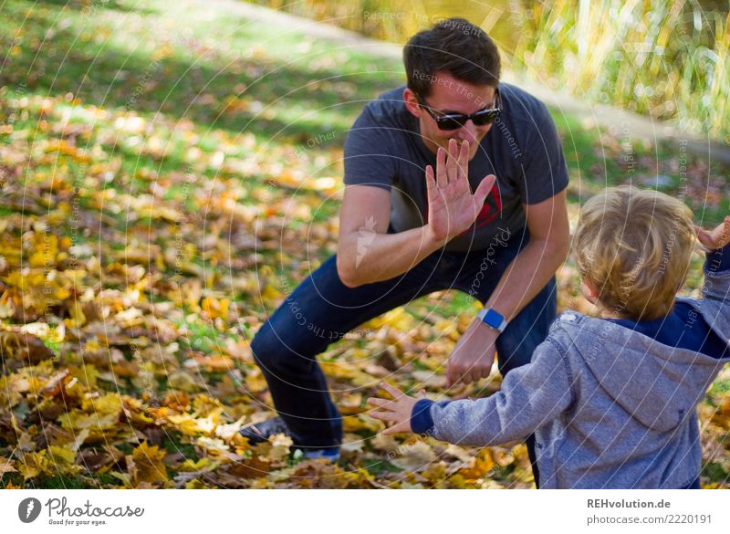 check Stil Mensch Kind Junge Mann Erwachsene Vater Familie & Verwandtschaft 2 1-3 Jahre Kleinkind 30-45 Jahre Umwelt Natur Herbst Park Wiese Sonnenbrille