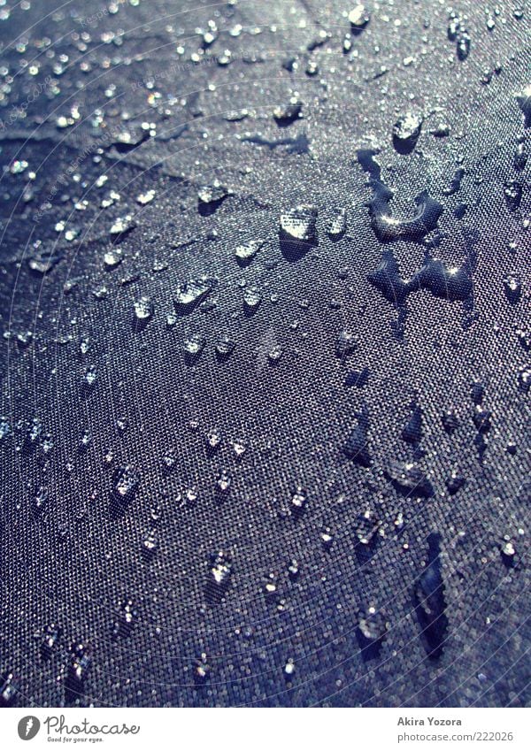 ame agari Wetter Schönes Wetter schlechtes Wetter Regen Wasser glänzend Flüssigkeit kalt nah schwarz weiß Regenschirm Tropfen Farbfoto Gedeckte Farben