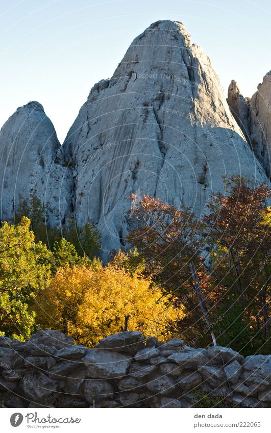 Bojinac in Kroatien / Velebit Ferien & Urlaub & Reisen Tourismus Abenteuer Freiheit Berge u. Gebirge Natur Landschaft Pflanze Wolkenloser Himmel Herbst
