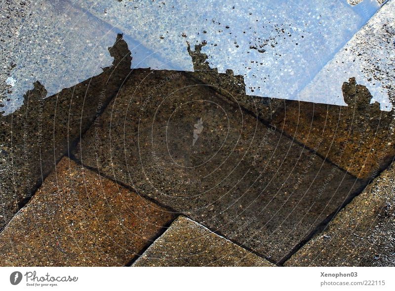 Spiegelung Skulptur Burg oder Schloss Architektur Fassade Dach Vergänglichkeit Pfütze Regen Perspektive Pflastersteine nass feucht Reflexion & Spiegelung