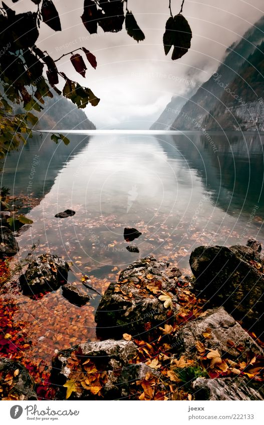 Wandel Natur Landschaft Wasser Wolken Herbst Schönes Wetter schlechtes Wetter Blatt Berge u. Gebirge Seeufer Ferne nah grün ruhig Einsamkeit einzigartig Kraft