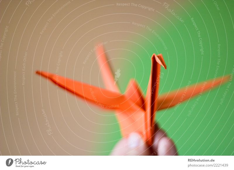 1300 ... Kranich Hand festhalten grün orange Kreativität Origami Falte Farbfoto Innenaufnahme Nahaufnahme Makroaufnahme Textfreiraum oben Tag Unschärfe