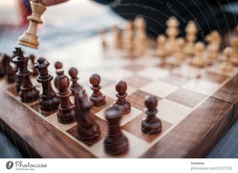 Schachmatt Schachbrett Schachfigur Spielen braun Freizeit & Hobby planen Unschärfe Brettspiel Farbfoto Schwache Tiefenschärfe