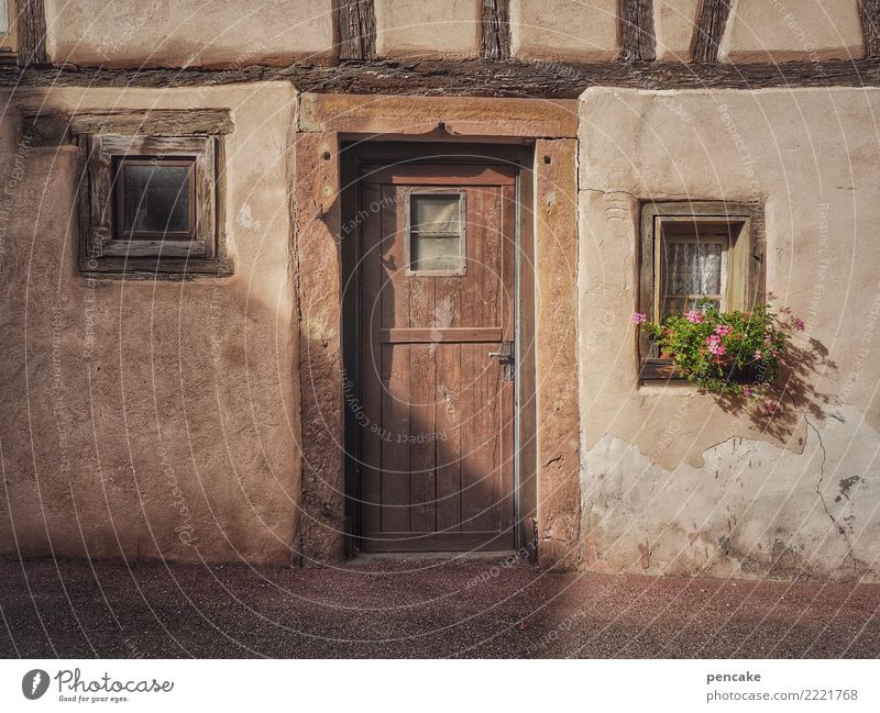 vom alten schlag Blume Kleinstadt Altstadt Menschenleer Gebäude Architektur Fassade Fenster Tür ästhetisch authentisch Freundlichkeit historisch Originalität