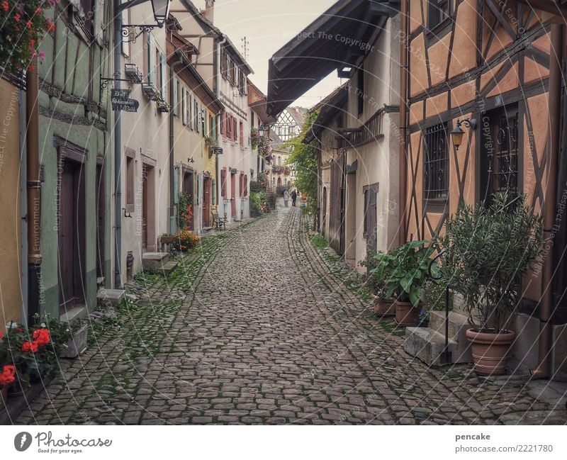 wandelbar Eguisheim Frankreich Dorf Altstadt Haus Architektur Bewegung entdecken Erholung Ferien & Urlaub & Reisen Idylle Fachwerkhaus alt historisch