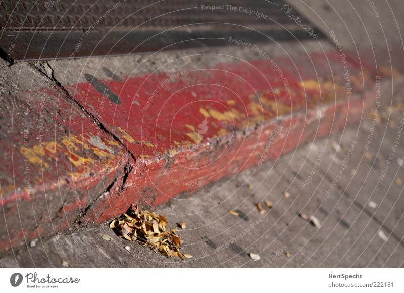 Curbside Blatt Straße gelb grau rot Bordsteinkante Bürgersteig verweht Herbstlaub Beton Stein Ecke Furche Farbfoto Gedeckte Farben Außenaufnahme Menschenleer