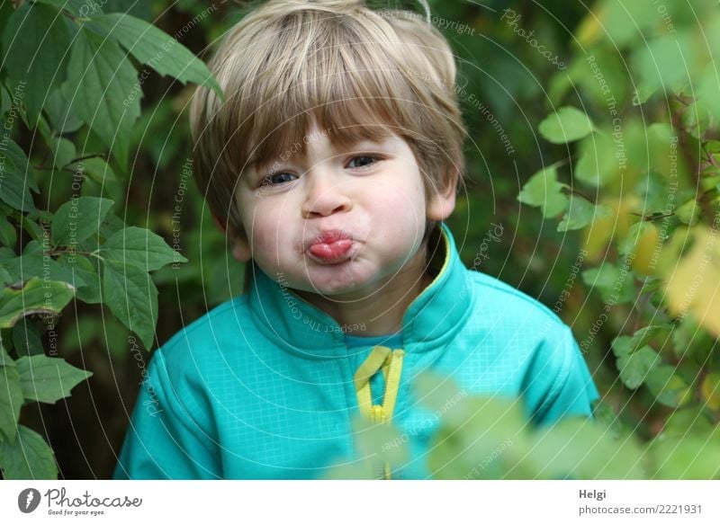 Porträt eines kleinen Jungen, der eine Schnute zieht Mensch maskulin Kind Kindheit Kopf Haare & Frisuren Gesicht 1 3-8 Jahre Umwelt Natur Pflanze Sträucher