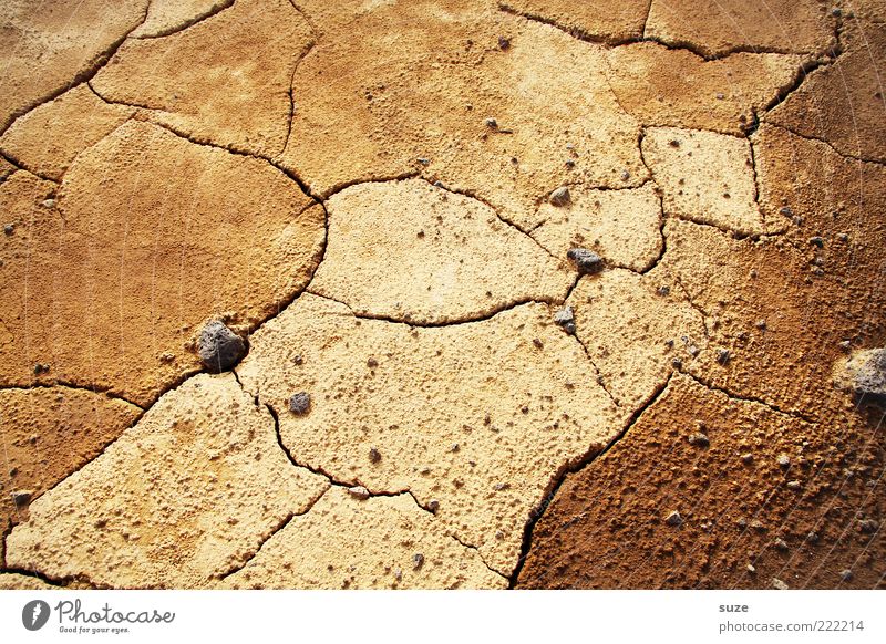 Umweg Umwelt Natur Landschaft Erde Klima Klimawandel Dürre Wüste trocken braun Einsamkeit Zukunft Riss karg Farbfoto Gedeckte Farben Außenaufnahme Menschenleer