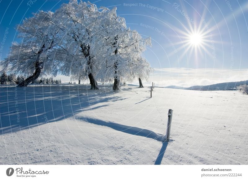 ;-) Ferien & Urlaub & Reisen Winter Schnee Winterurlaub Berge u. Gebirge Umwelt Natur Landschaft Wolkenloser Himmel Klima Schönes Wetter Eis Frost Baum Hügel