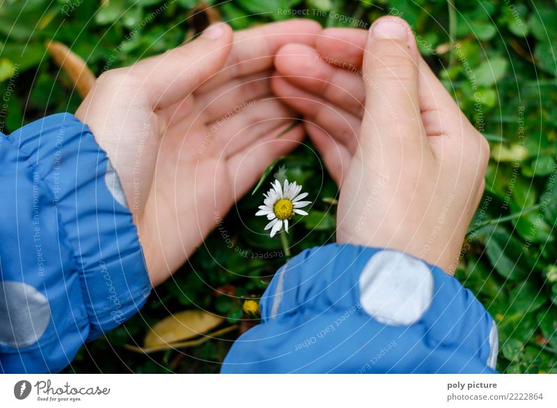 Ich schütze dich! Junge Frau Jugendliche Hand Finger 8-13 Jahre Kind Kindheit Umwelt Natur Pflanze Neugier grün Glück Begeisterung Vertrauen Geborgenheit