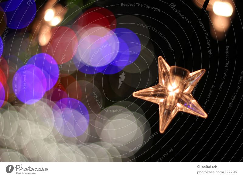 Sternenlicht Dekoration & Verzierung Lampe Lichterkette Weihnachtsdekoration Winter Weihnachtsstern glänzend leuchten schön Warmherzigkeit Farbfoto