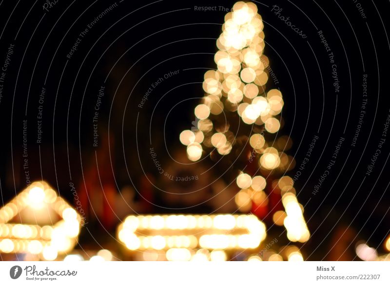 Ulmer Weihnachtsmarkt leuchten Marktstand Platz Weihnachtsbaum Weihnachten & Advent Farbfoto mehrfarbig Außenaufnahme Muster Menschenleer Nacht Kunstlicht Licht