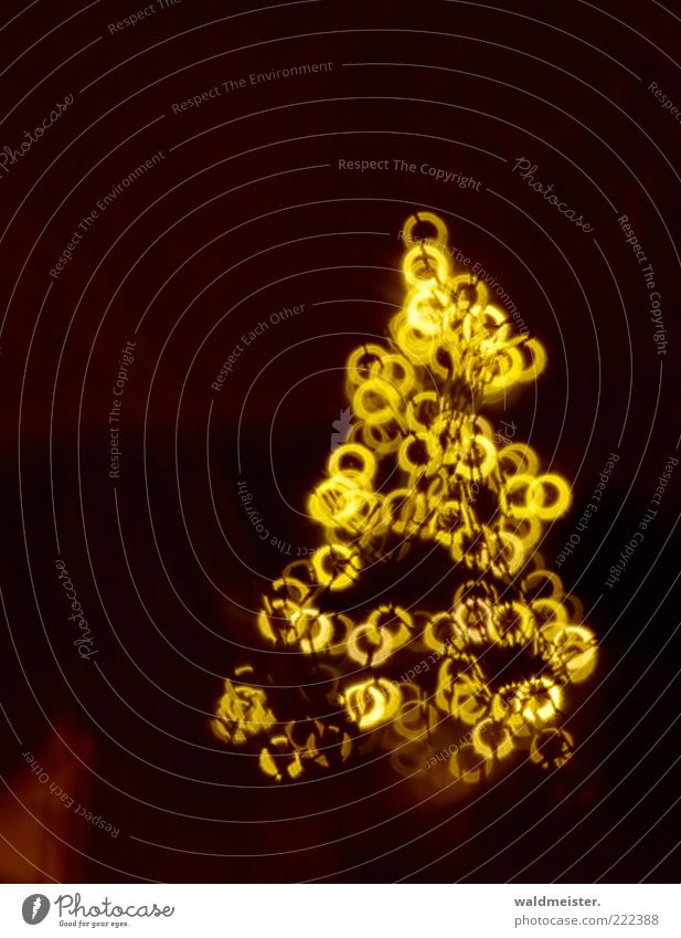 Bald ist es so weit Baum Feste & Feiern Vorfreude Frieden Weihnachtsbaum Lichterkette Spiegellinsenobjektiv (Effekt) Unschärfe Farbfoto Außenaufnahme Experiment