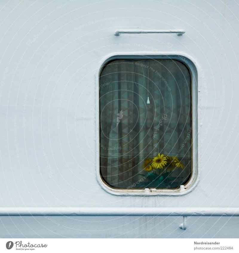 Pflegeleicht Blume Mauer Wand Fenster Schifffahrt Kreuzfahrt Passagierschiff Fähre Bullauge An Bord Stahl Kunststoff verblüht einfach weiß Geborgenheit