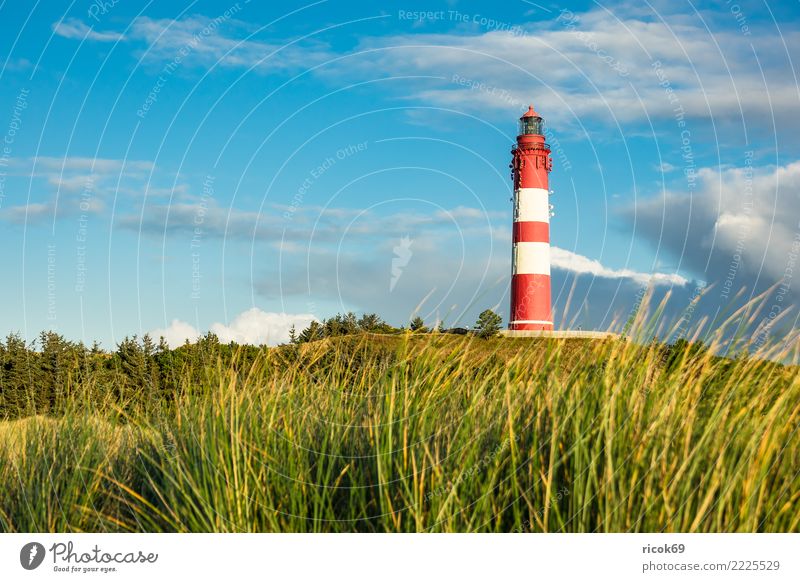 Leuchtturm in Wittdün auf der Insel Amrum Ferien & Urlaub & Reisen Tourismus Natur Landschaft Wolken Herbst Küste Nordsee Architektur Sehenswürdigkeit