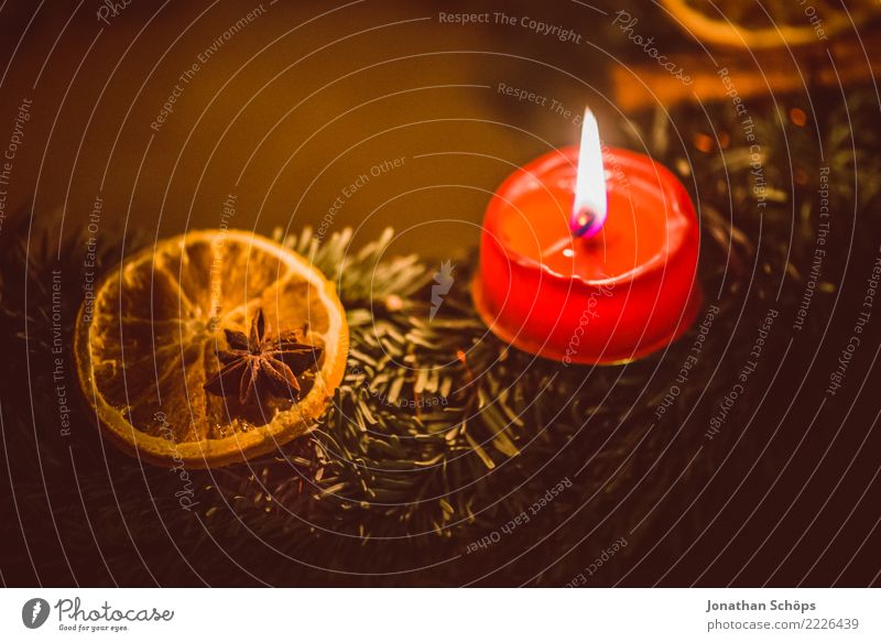 Adventskranz III Weihnachten & Advent Detailaufnahme Kerzendocht Docht Flamme Licht Makroaufnahme Nahaufnahme Reisig Stimmung Tradition Wachs Zimt Zitrone