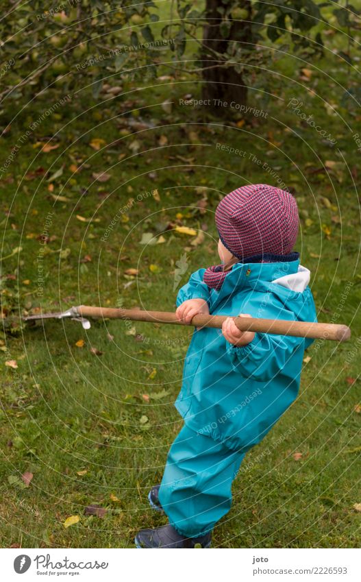 helfen Freude Zufriedenheit Freizeit & Hobby Kinderspiel Garten lernen Gartenarbeit Kleinkind 1-3 Jahre Herbst Blatt Wiese Gummistiefel Mütze entdecken niedlich