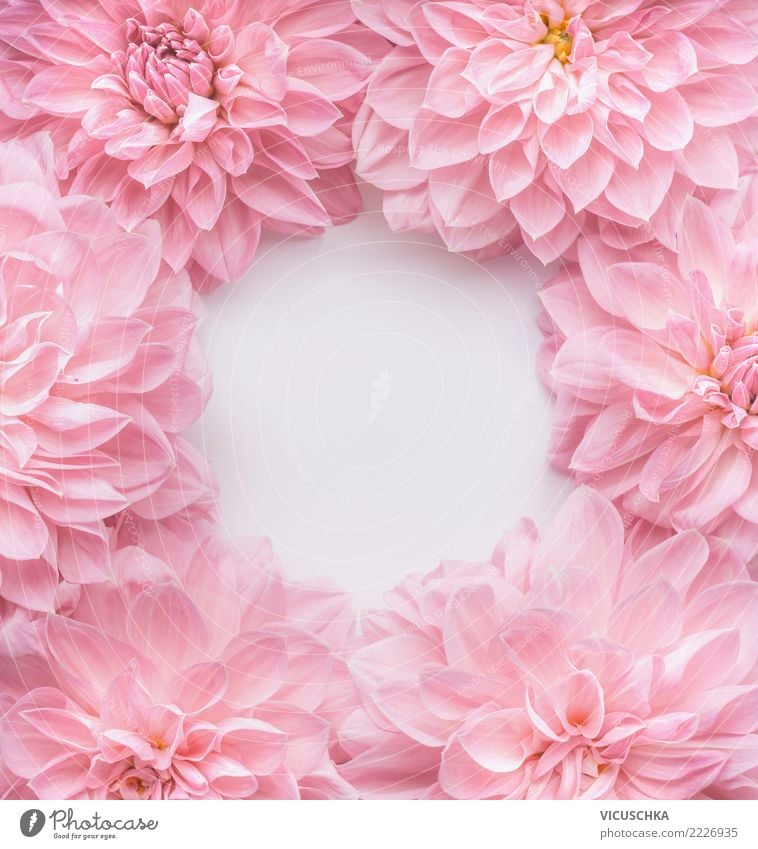 Pastell rosa Blumen Rahmen Stil Design Sommer Feste & Feiern Valentinstag Muttertag Hochzeit Geburtstag Pflanze Dekoration & Verzierung Blumenstrauß Liebe weich
