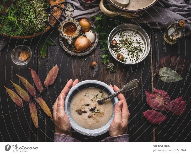 Hände halten Schüssel mit Maronensuppe Lebensmittel Suppe Eintopf Kräuter & Gewürze Mittagessen Festessen Bioprodukte Vegetarische Ernährung Diät