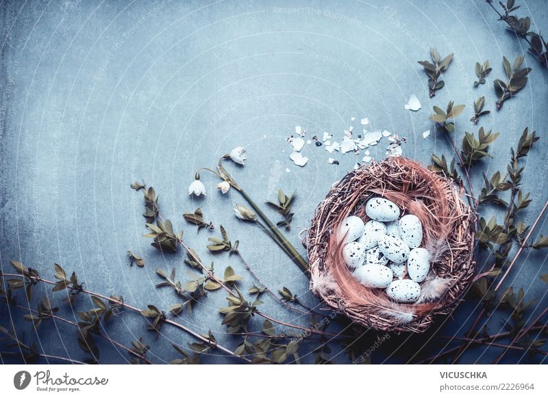 Ostern Hintergrund mit Nest, Eier, Feder und Frühlingszweigen Stil Design Freude Dekoration & Verzierung Feste & Feiern Blumenstrauß Zeichen Fahne Tradition
