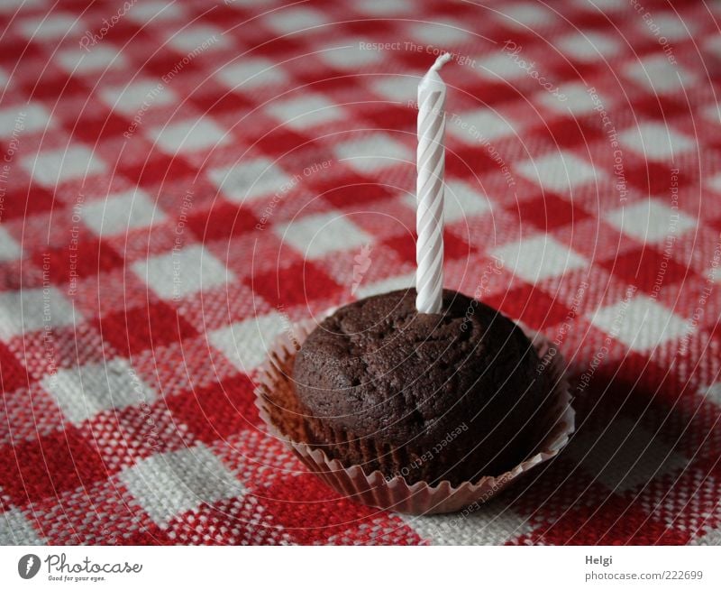 kleiner Schokoladenkuchen mit einer Kerze auf einer rot-weiß-karierten Tischdecke Lebensmittel Teigwaren Backwaren Kuchen Ernährung Dekoration & Verzierung