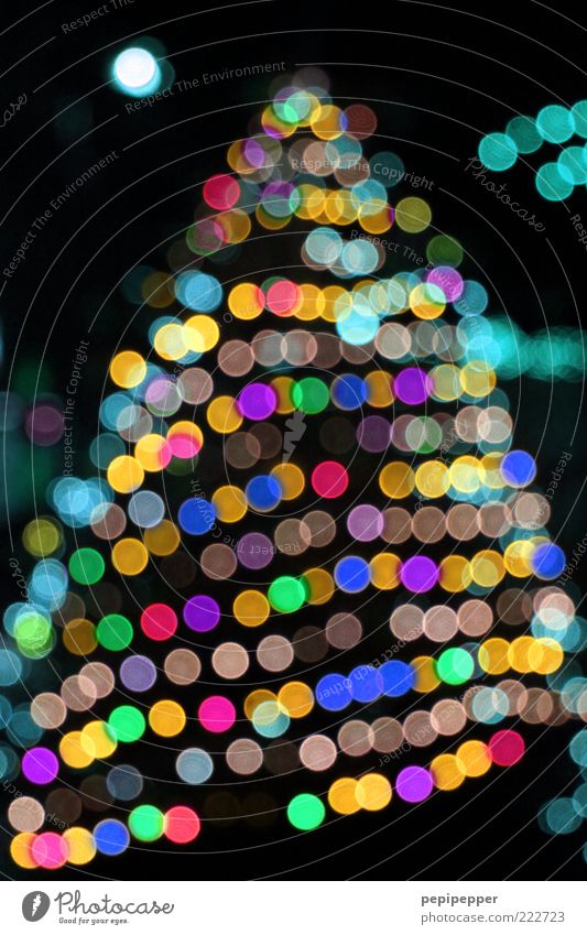 kitsch Winter Baum mehrfarbig Tanne Weihnachten & Advent Farbfoto Außenaufnahme Detailaufnahme Abend Nacht Licht Kontrast Reflexion & Spiegelung