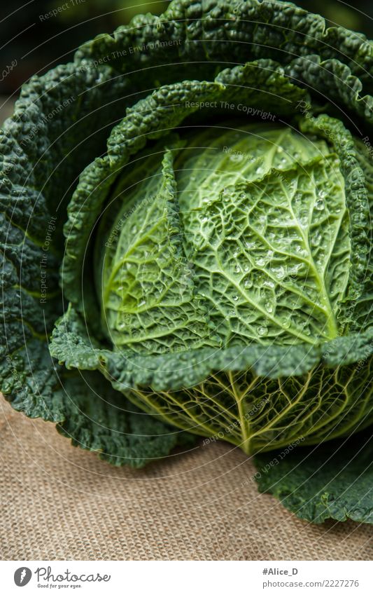 wirsingkohl Lebensmittel Gemüse Salat Salatbeilage Kohl Wirsing Ernährung Bioprodukte Vegetarische Ernährung Diät Lifestyle Gesundheit Fitness Winter Natur