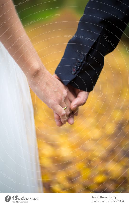 Hand in Hand Hochzeit maskulin feminin Paar Partner 2 Mensch Glück Vertrauen Sicherheit Geborgenheit Zusammensein Liebe Verliebtheit Treue Romantik Ring