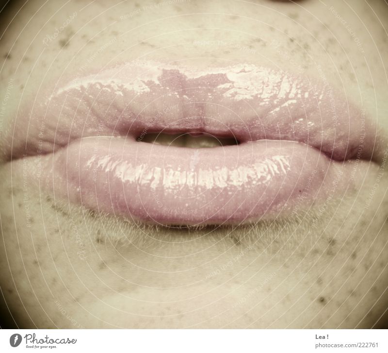Schmatzer feminin Mund Lippen Sommersprossen Lipgloss rosa Gedeckte Farben Innenaufnahme Detailaufnahme Tag Licht Kussmund Textfreiraum unten Textfreiraum oben