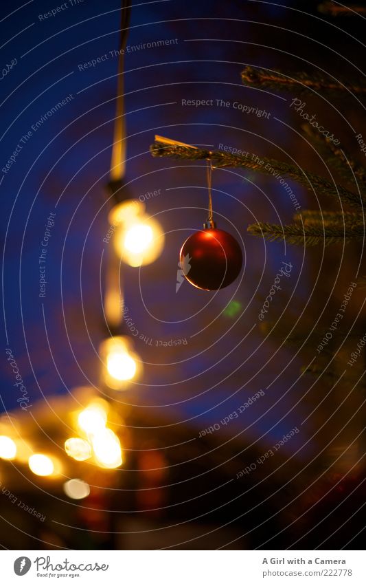 ich liebe die Adventszeit Stil Design Dekoration & Verzierung Kugel Lichterkette hängen leuchten blau gold rot Christbaumkugel Glühbirne Weihnachtsmarkt