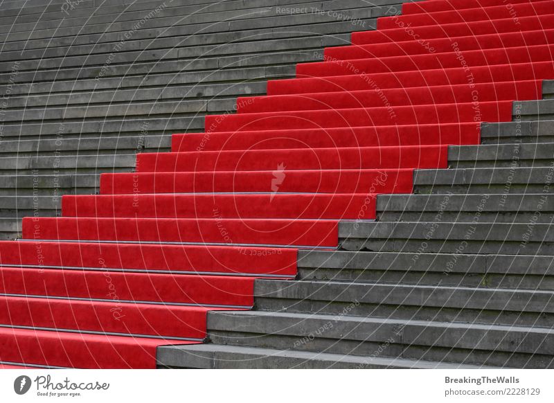 Roter Teppich über niedriger Winkelsicht der konkreten Treppe Stadt Bauwerk Gebäude Architektur Sehenswürdigkeit grau rot Farbe Veranstaltung Weg Eingang