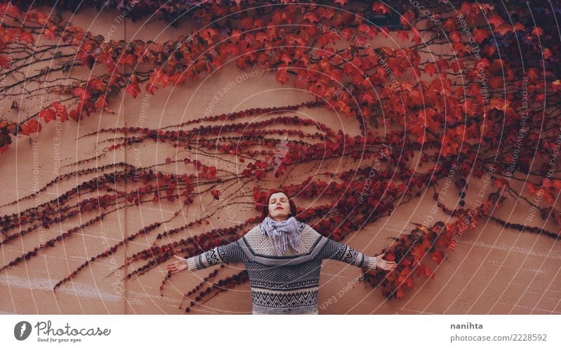 Junge Frau in einer Wand voll der Herbstblätter Design Wellness harmonisch Erholung Mensch feminin Erwachsene Jugendliche 1 18-30 Jahre Natur Pflanze Winter