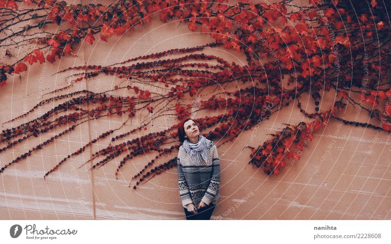Junge Frau in einer Wand mit rotem Efeu Lifestyle Stil Design exotisch Wellness harmonisch Mensch feminin Jugendliche 1 18-30 Jahre Erwachsene Natur Pflanze