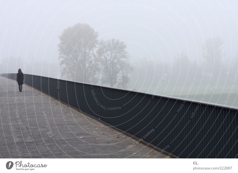 spaziergang im nebel Junge Frau Jugendliche 1 Mensch Landschaft Herbst schlechtes Wetter Wind Nebel Brücke Fußgänger kalt trist grau Traurigkeit Sorge