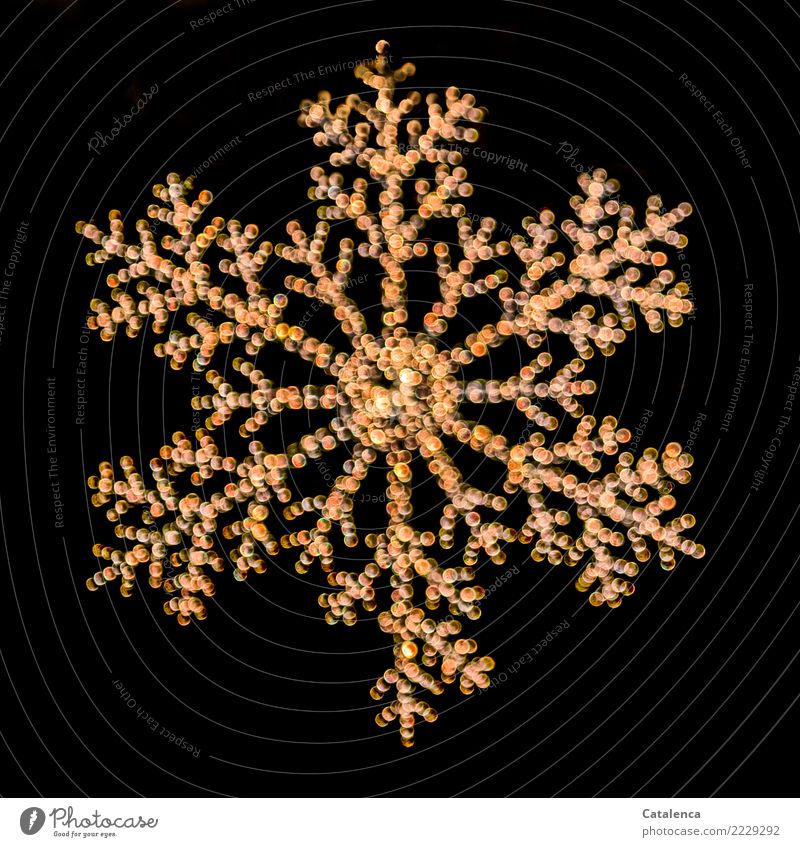 Eiskristall II Weihnachten & Advent Winter Frost Dekoration & Verzierung Kunststoff glänzend hängen mehrfarbig gold schwarz Stimmung Design Frieden