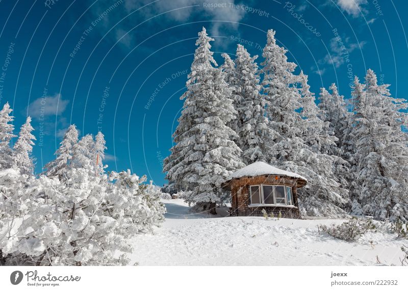 Raststätte Natur Landschaft Himmel Winter Schönes Wetter Schnee Baum Alpen Berge u. Gebirge Menschenleer Hütte groß kalt schön blau weiß ruhig