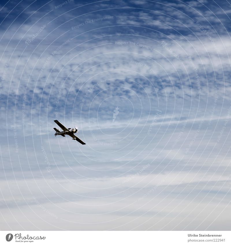 Modellflugzeug fliegt am Himmel Freizeit & Hobby Modellbau Luftverkehr Wolken Verkehr Flugzeug Bewegung fliegen Unendlichkeit blau weiß Leichtigkeit