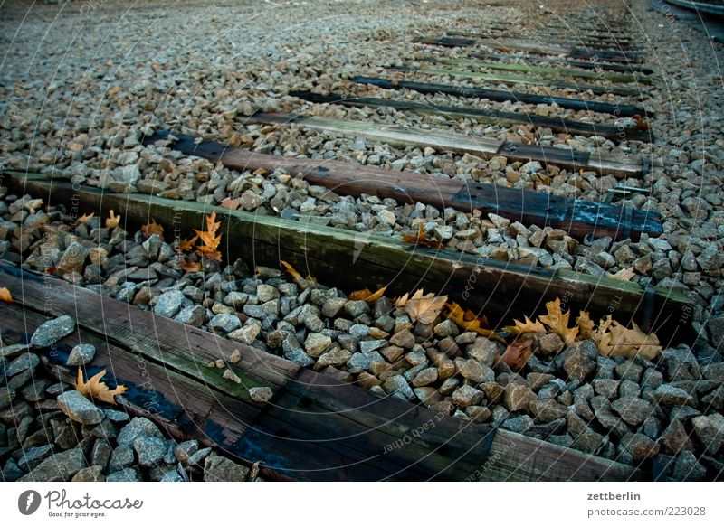 Noch nicht mal Abstellgleis Umwelt Natur Landschaft Erde Herbst Verkehr Verkehrswege Schienenverkehr Gleise Schienennetz Einsamkeit stilllegen schwelle Kies