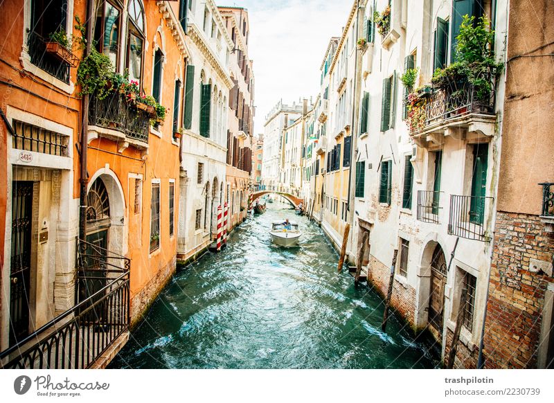 Venedig Ferien & Urlaub & Reisen Tourismus Ausflug Abenteuer Ferne Freiheit Sightseeing Städtereise Kreuzfahrt Italien Europa Stadt Hafenstadt Haus
