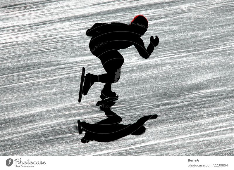 Silhouette eines Eisschnellläufers im Gegenlicht Winter Sport Fitness Sport-Training Wintersport Sportler Sportveranstaltung Eisschnelllauf Schlittschuhlaufen