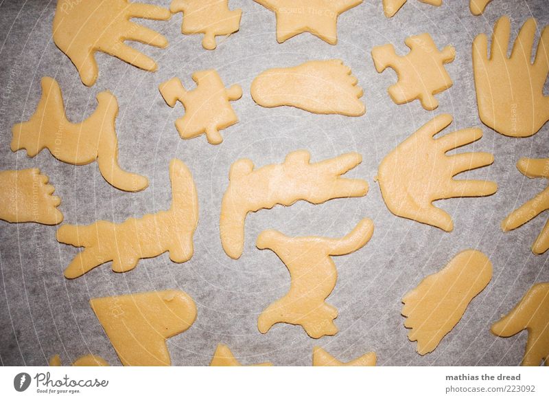 KEKSE Lebensmittel Teigwaren Backwaren Plätzchen Strukturen & Formen Hand Puzzle Fuß Katze Krokodil Vorbereitung Weihnachtsgebäck vorweihnachtszeit Farbfoto