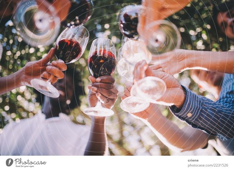 Gruppe Freunde, die mit Weingläsern an der Party rösten trinken Alkohol Freude Sommer Veranstaltung Restaurant Bar Cocktailbar ausgehen Feste & Feiern Hochzeit