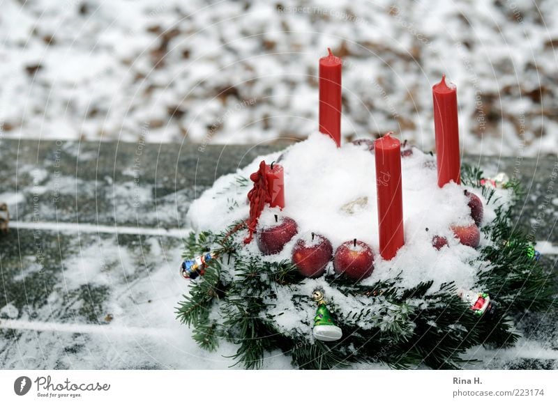 Advent im Wald&hellip; - ein lizenzfreies Stock Foto von Photocase