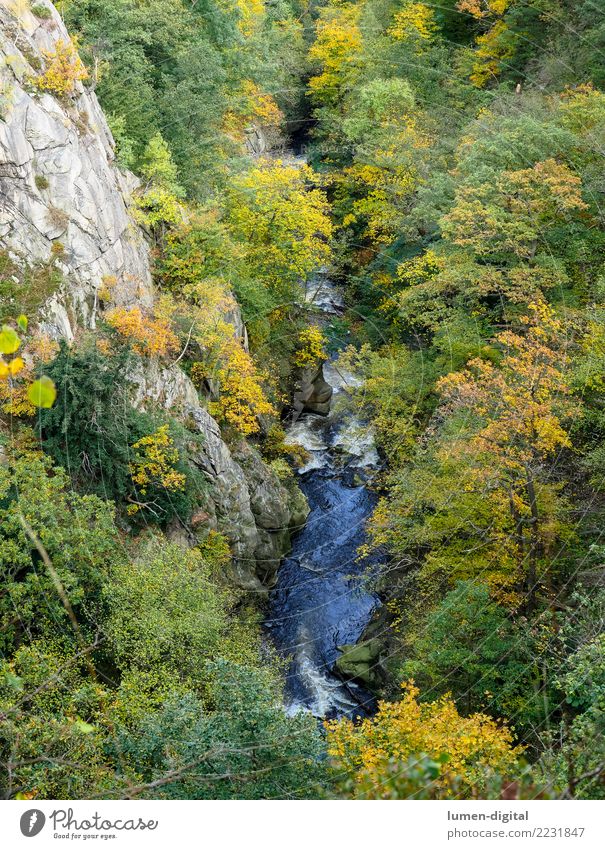 Bodetal im Harz Ferien & Urlaub & Reisen Tourismus Berge u. Gebirge Natur Landschaft Wasser Herbst Felsen Schlucht Fluss hoch Erholung Umwelt Rosstrappe