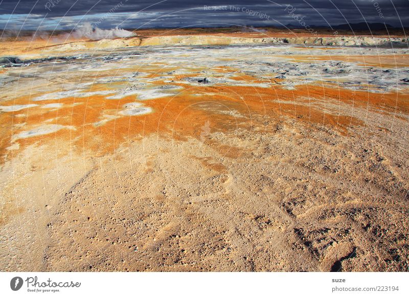 Warm up Umwelt Natur Landschaft Klima Vulkan außergewöhnlich heiß Island orange Geothermalgebiet Heisse Quellen Mývatn Wasserdampf Schwefel Farbfoto mehrfarbig